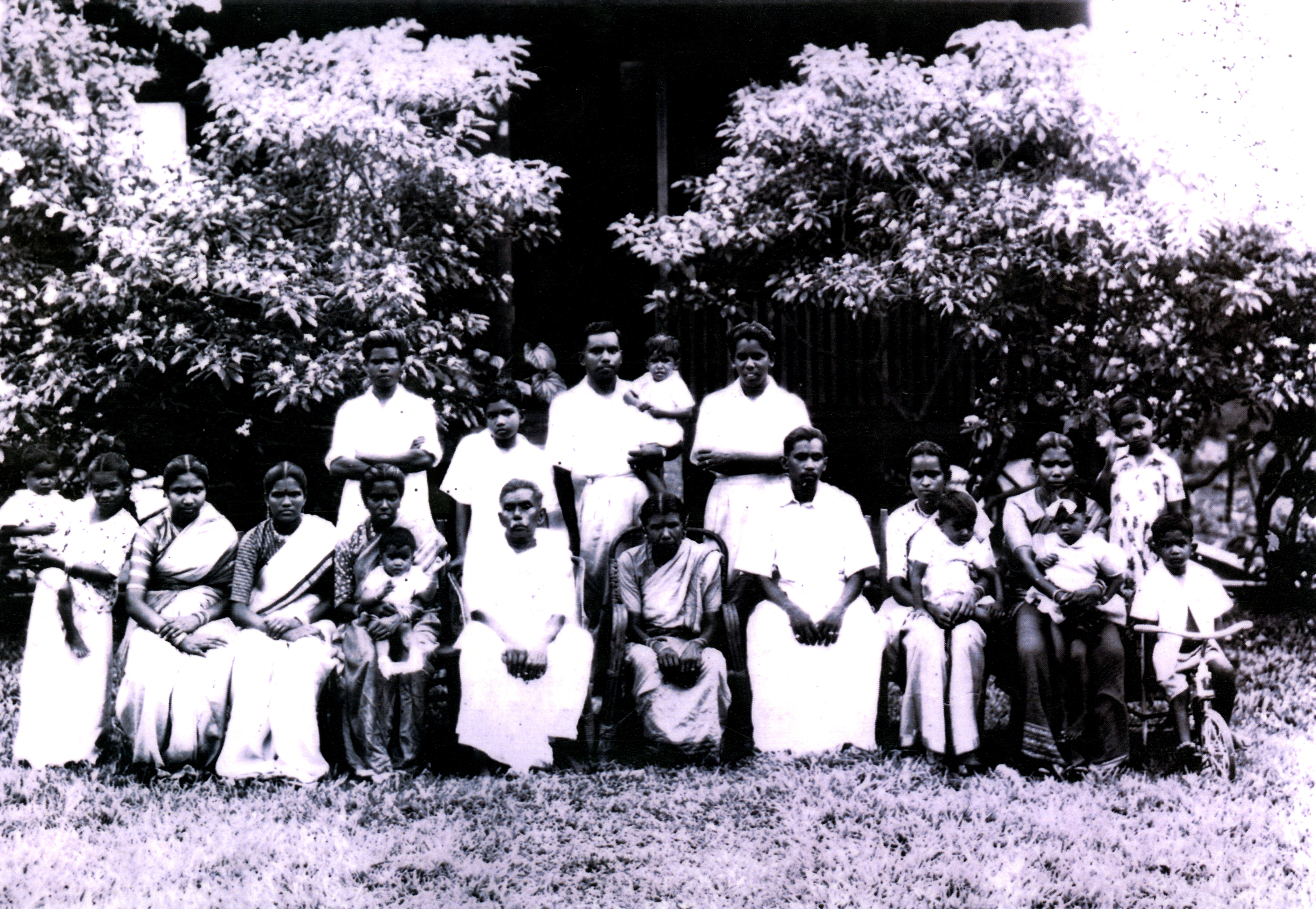 ரெங்க00317